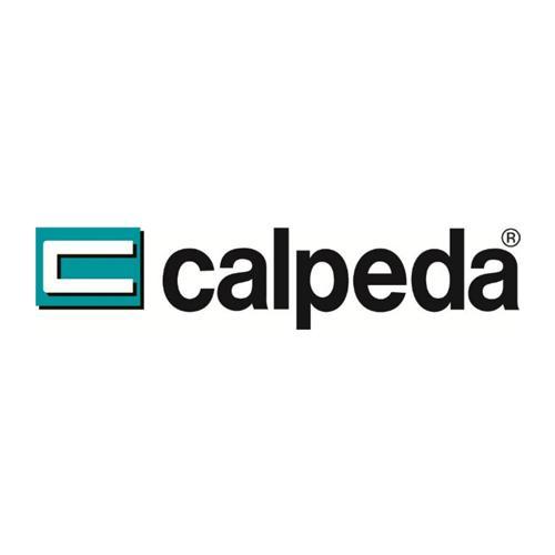 Logo Calpeda